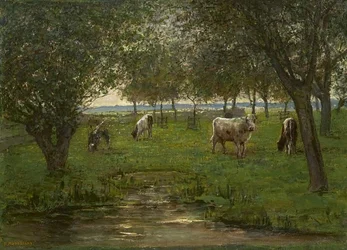 Weidende Kälber